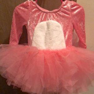 cutest bunny costume